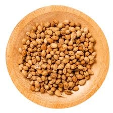 Coriander-1