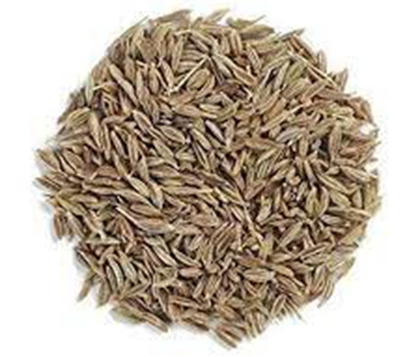 Cumin Seeds-12649217