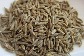 Cumin Seeds-1