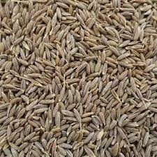 Cumin Seeds-3