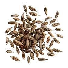 Cumin Seeds-4