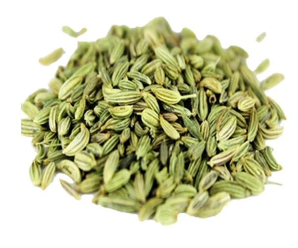 Fennel Seed-12649235