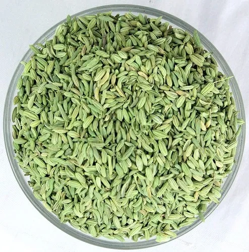 Fennel Seed-1