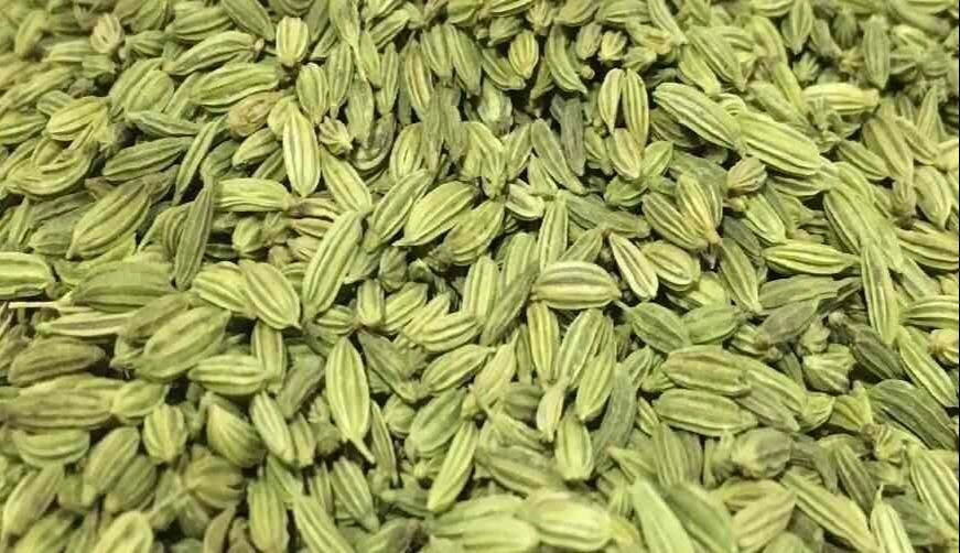 Fennel Seed-2