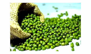 Green Gram