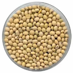 Soybeans-1