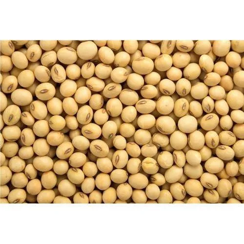 Soybeans-2