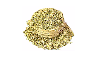 Millet