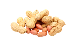 Peanut