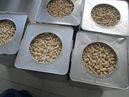 Cashew Nuts-4