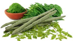 Moringa Powder-12649431