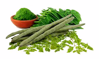 Moringa Powder