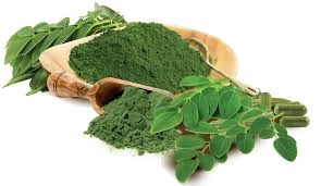 Moringa Powder-1