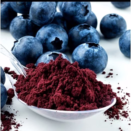 spray dried blackberry powder