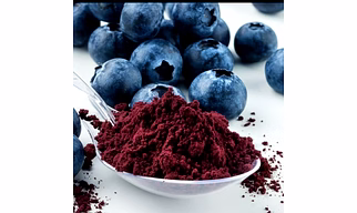 Spray dried blackberry powder