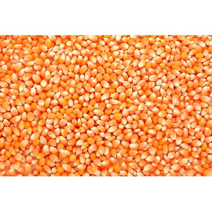 MAIZE-12708711
