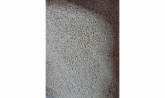 Belgavi Basmati