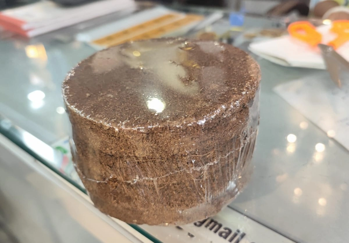 Cow Dung Coco Peat Cake-12639498