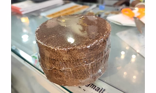 Cow Dung Coco Peat Cake