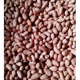 peanut