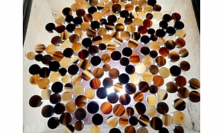 Buffalo Color Horn button