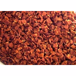 bhumi mahua flower (modhuca longifolia) sun dried flower