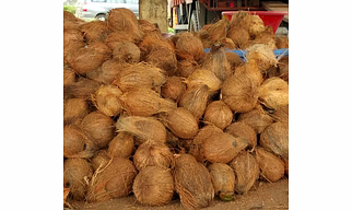 COCONUTS