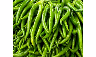 G4 GREEN CHILLI
