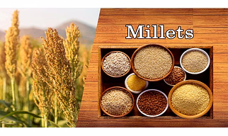 MILLETS