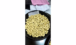 Cashew Nuts