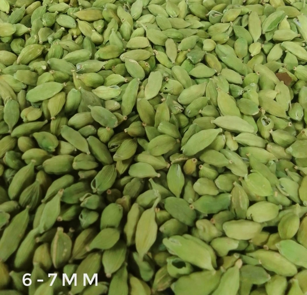 Green cardamom-2