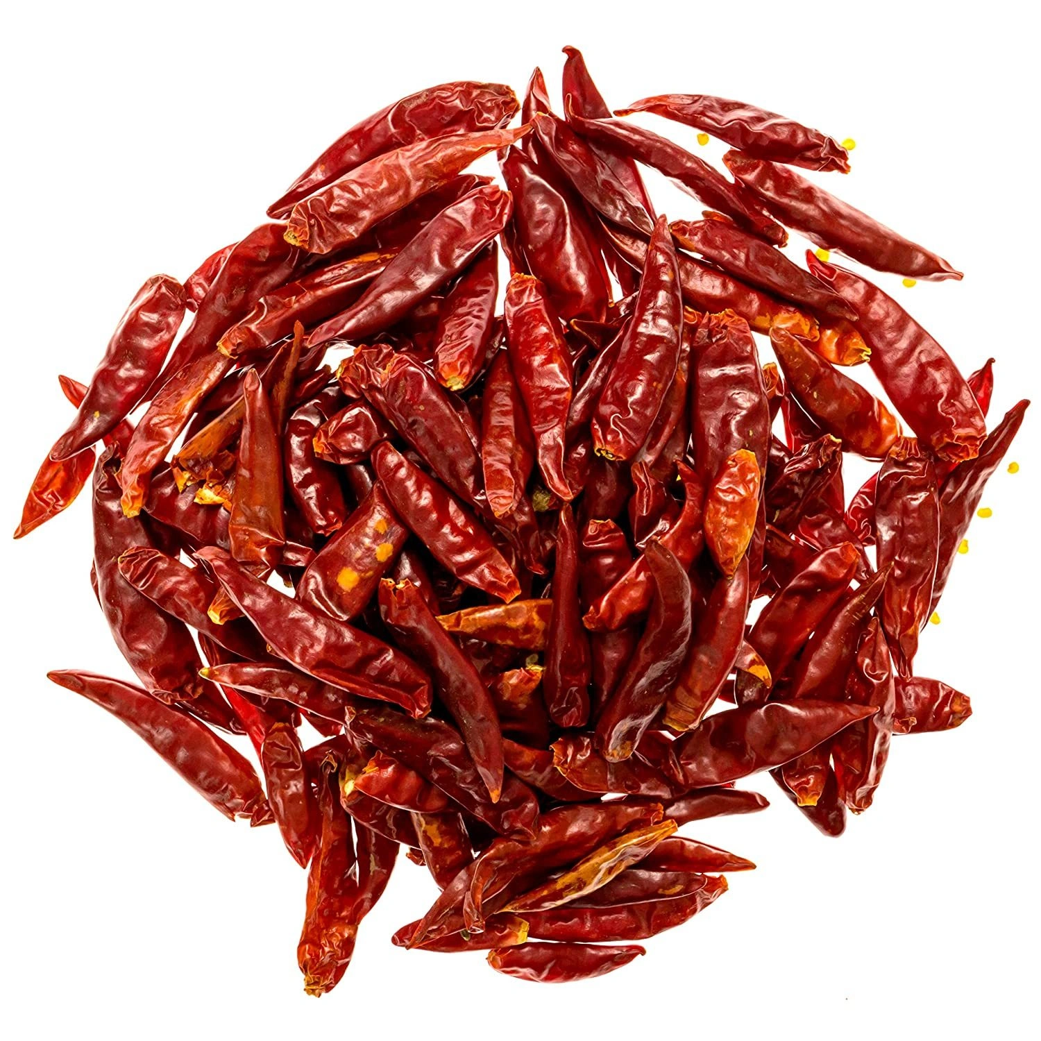 RED CHILLI, (Teja &amp; Sanam variety)-1