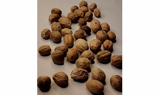 Nutmeg