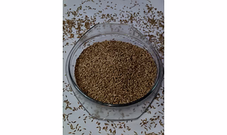 Cumin Seed
