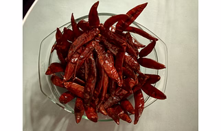 RED CHILLI, (Teja & Sanam variety)