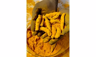 Turmeric Whole