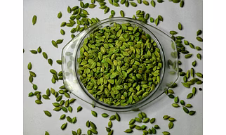 Green cardamom