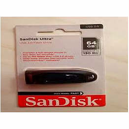 sandisk 64gb pendrive