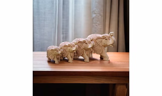 Carving special Elephant