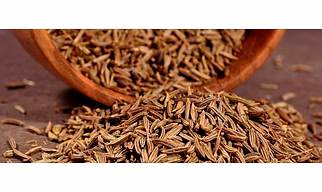 Cumin Seeds