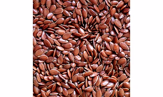 Flax Seeds