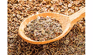 Dill Seed