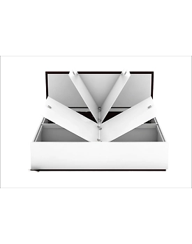 Bed : Stylish Platform Bed
