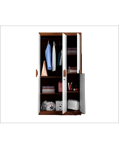 Timeless Elegance: The Wooden Almirah-1