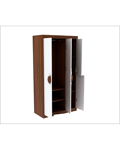 Timeless Elegance: The Wooden Almirah-2