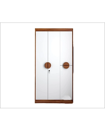 Timeless Elegance: The Wooden Almirah-4