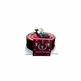 control system 4 amp single phase open varic, variable auto transformer, dimmer