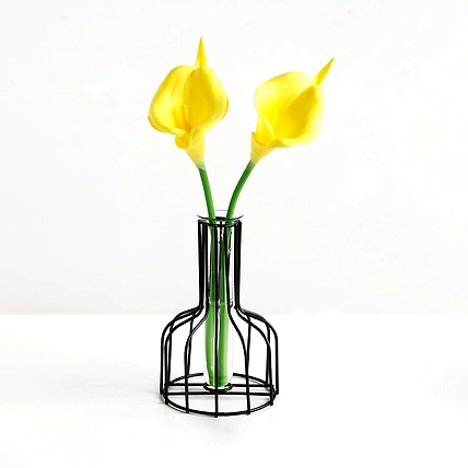 Iron Test Tube Flower Vase-1
