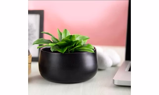 Metal Handi Flower Pot