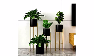 Iron Planter Set of 3 (Black)